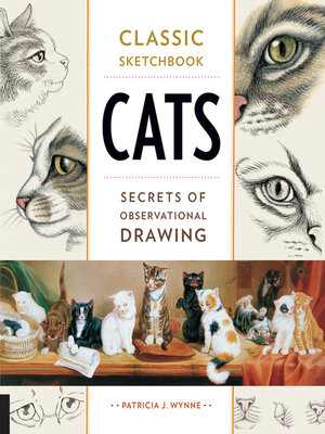 cover image of Classic Sketchbook